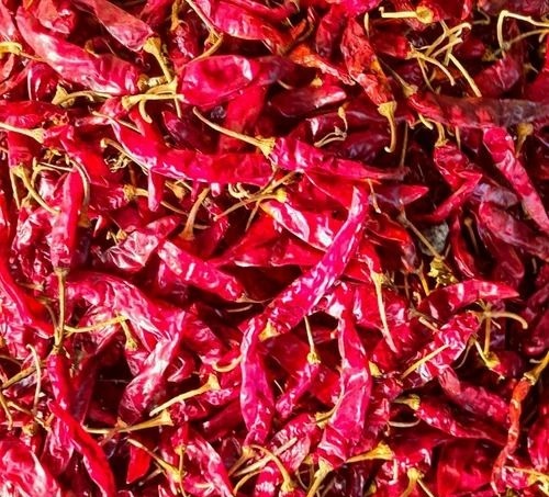 Dried Red Chilli