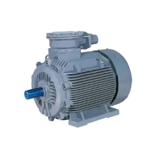 Flame Proof Induction Motor
