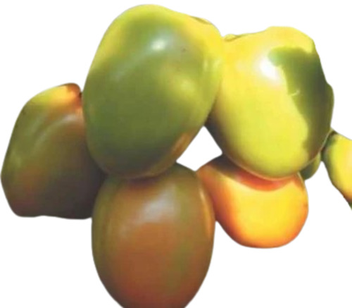 Fresh Tomato