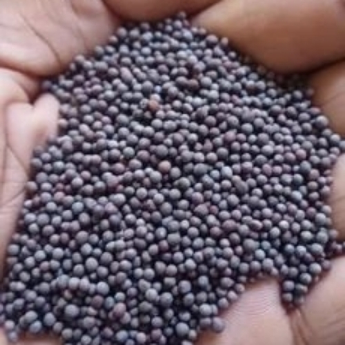 Mustard Seeds