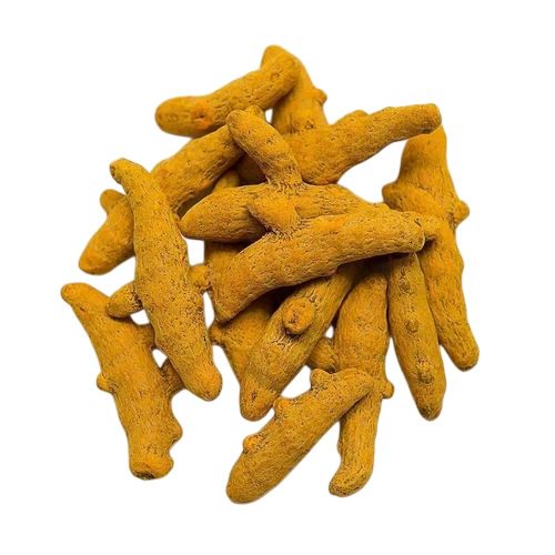 Organic Turmeric Finger