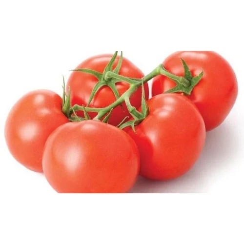 UN 2030 F1 Tomato Seed