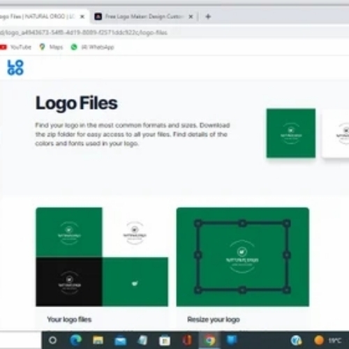 dried drumstick seed powder