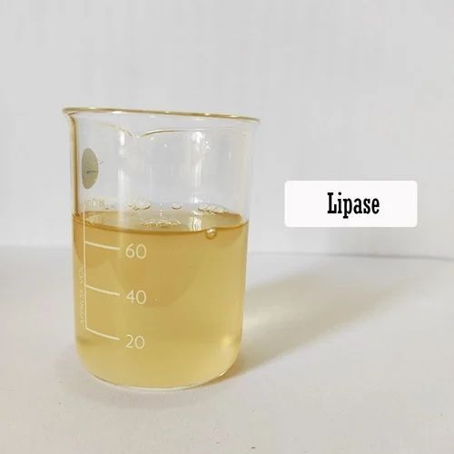 20000 U/G Lipase Enzyme Liquid