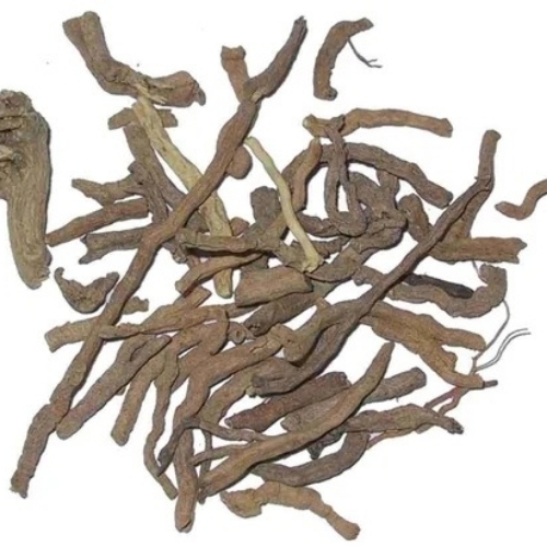 Brown Senega Root
