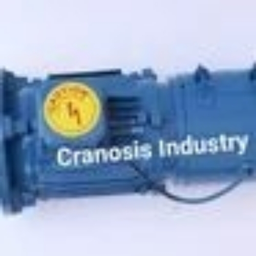 Brake motor