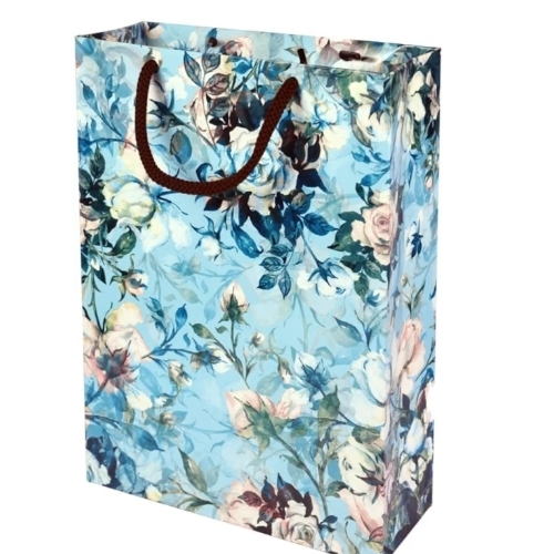 Multicolor Printed Paper Shopping Bag - Kraft Paper, Rope Handle, 5kg Load Capacity | Biodegradable, Custom Digital Prints, Matte Finish, Spacious Interior