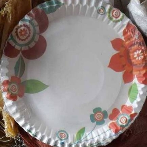 Printed paper plate