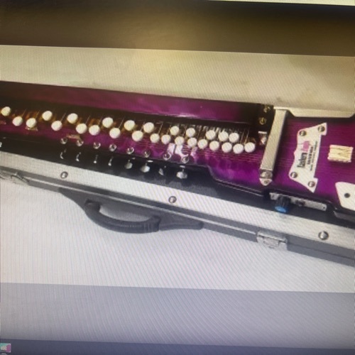 Purple 15 strings professional swarmandal banjo