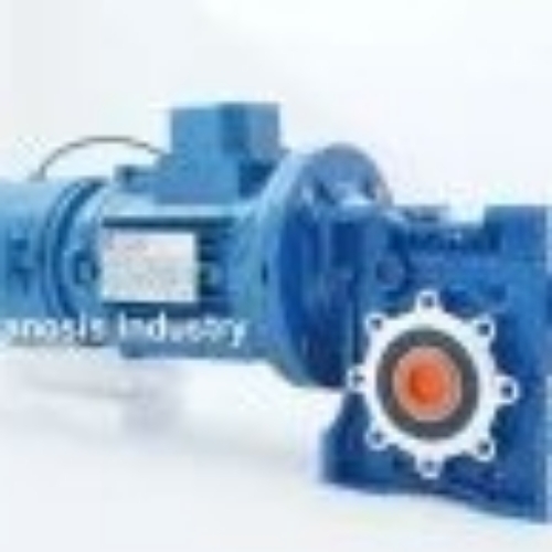 Worm gear