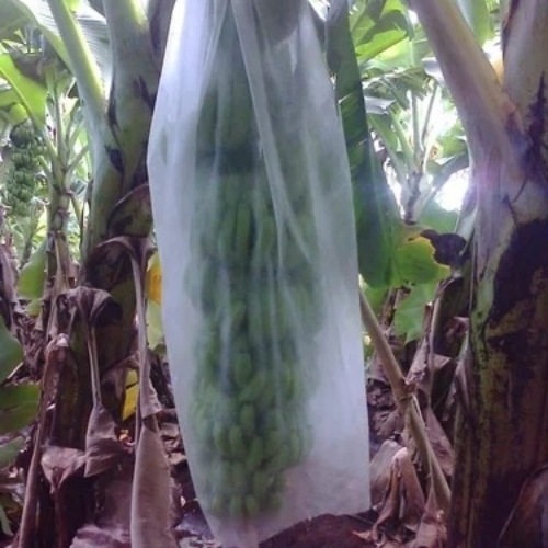 Banana Crop Cover - White New Good Quality | Eco Friendly Water Proof Agriculture Use
