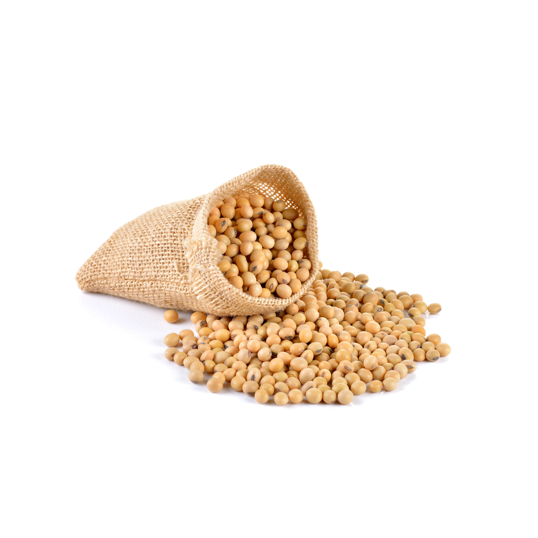 Soya Bean - Broken Ratio (%): 1% To 2%