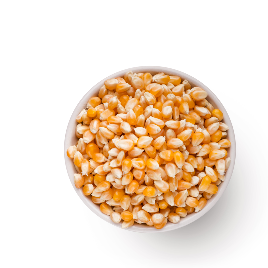 Yellow Maize (corn)  - Admixture (%): 1% To 2% Max