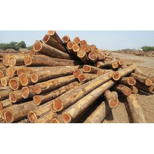 Teak Wood Log - Standard Size 10-15% Moisture Content | A Grade Termite Free Furniture Use