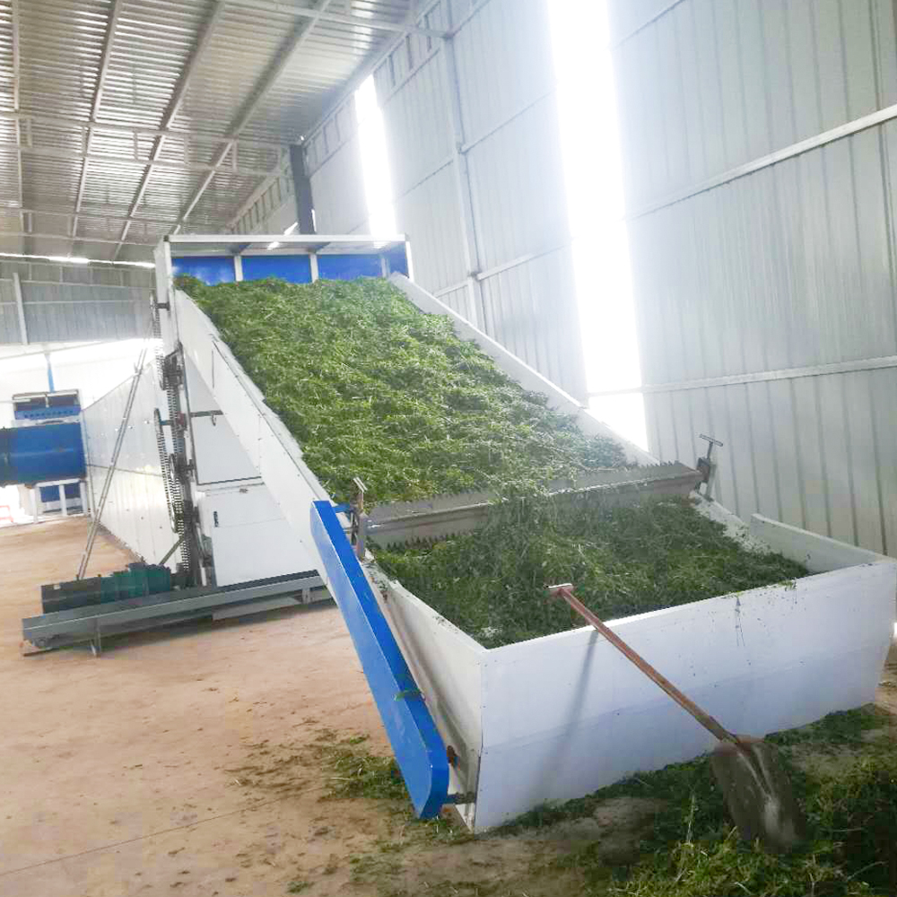 Alfalfa Mesh Belt Dryer - Stainless Steel, Standard Size, Multi-Color | Continuous Batch Drying, High Evaporation, User Friendly