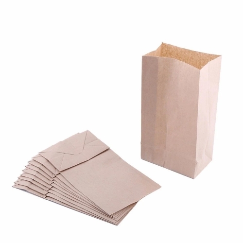 Brown Kraft Paper Bags - 10x5x13 Inches 2 Kg Capacity Brown Kraft Paper | Eco Friendly Disposable Rope Handle Customizable Designs