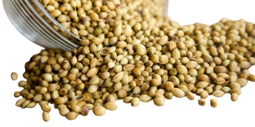 Coriander Seed