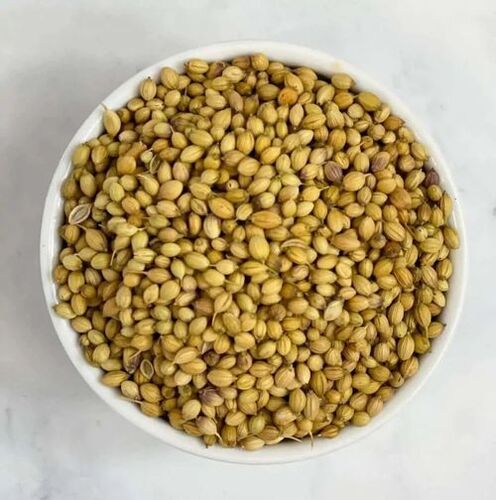 Coriander Seed