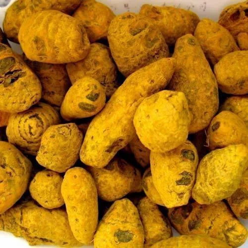 Dried Turmeric Bulb