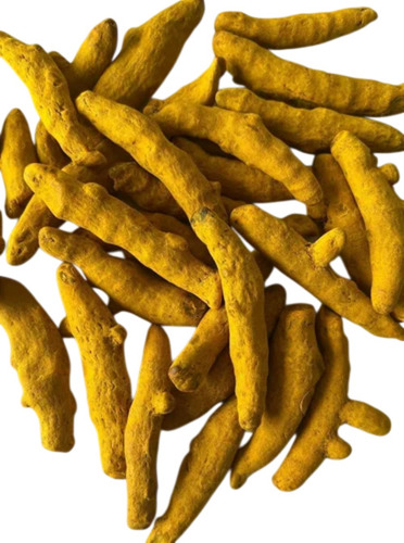 Dried Yellow Turmeric Finger