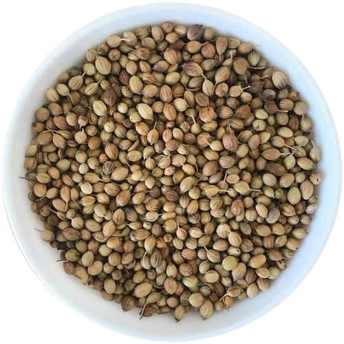 Eagle Plus Coriander Seed