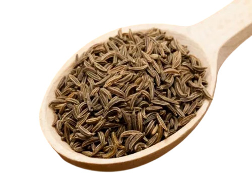 Fresh Cumin