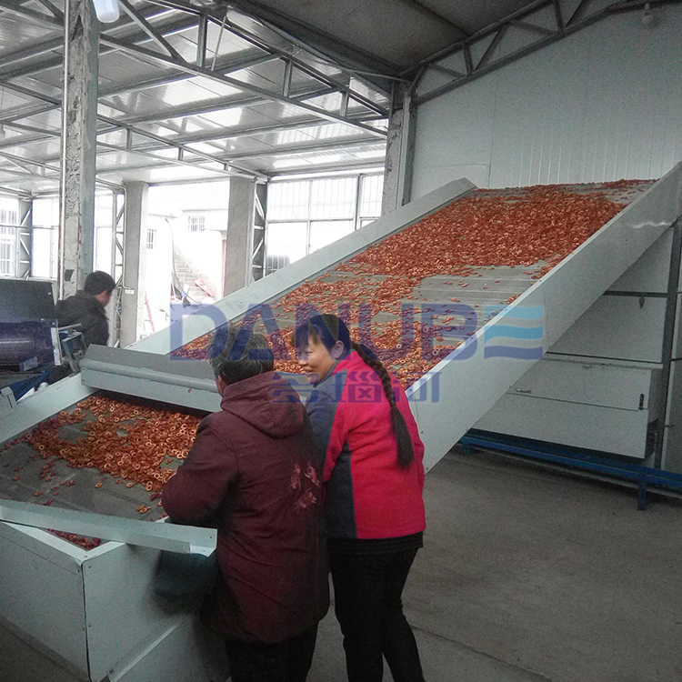 Mesh Belt Drying Line - Color: Customized