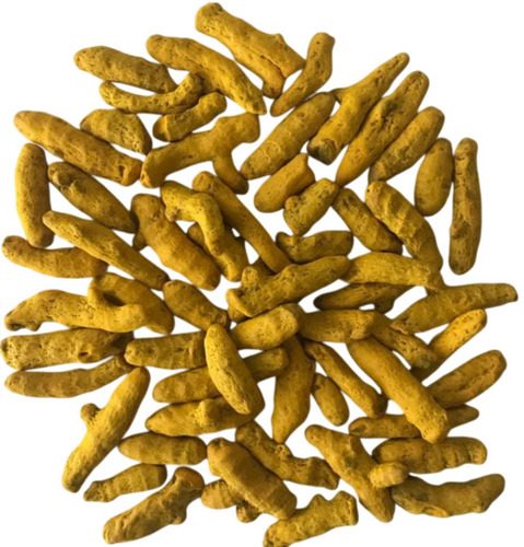 Salem Turmeric Finger