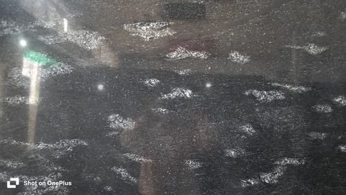 Fish Black Granite Stone