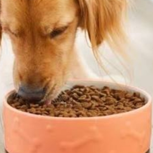 Dog Feed - 5 Kg, Brown | Chicken Flavor, Amino Acids, Health Care For Puppies