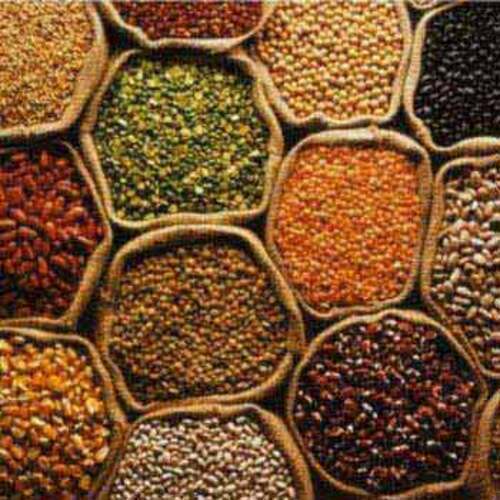 food grain