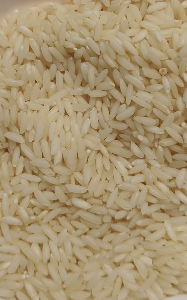 Sona Masoori Rice - Broken (%): <2%