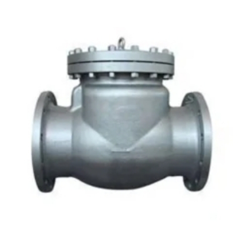 Check Valve Casting