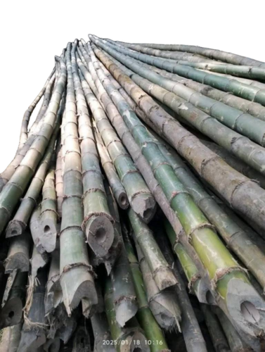 Harroti Bamboo - Bamboo Brown, Smooth Finish | Flexible Design, Weather Resistant, Eco Friendly, Easy Installation, Strong Weave, Ventilated Surface, Long Lasting