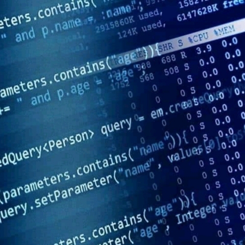 Software Administrator