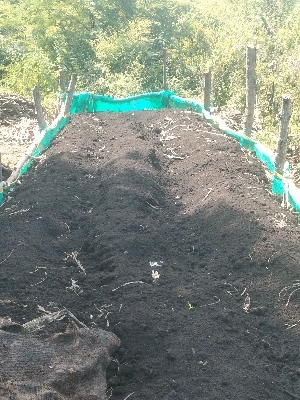 Vermicompost Fertilizer - Application: Agriculture