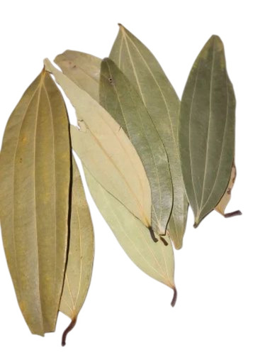 Dried Bay Leaf - Color: Green