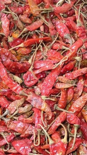 Dried Pure Red Chilli - Flavor: Natural