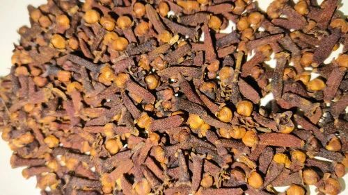 Dry Cloves - Color: Brown