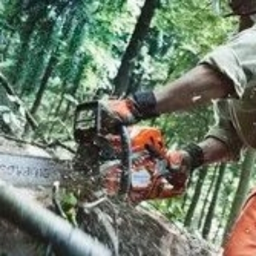 Petrol Driven Chain Saw