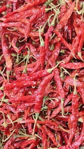 Spicy Dried Red Chilli - Flavor: Natural