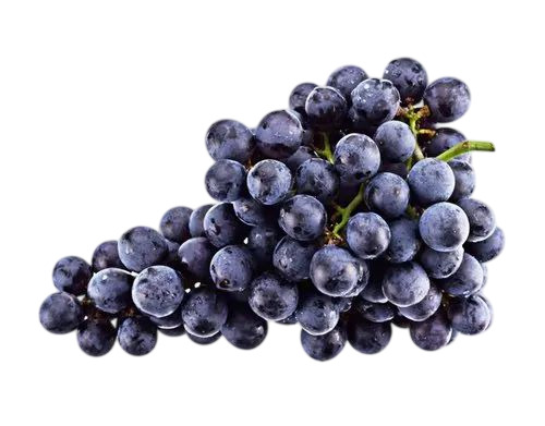 Black Grapes - Whole Oval Black, 10 Kilograms, Sweet Taste | Fresh, Very Good Quality, 7-10 Days Shelf Life