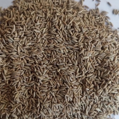 Cumin Seeds - Light Brown A-Grade Solid | Warm Earthy Flavor Aromatic Spice for Savory Dishes