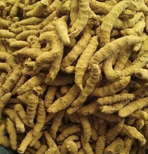 Dried Yellow Turmeric