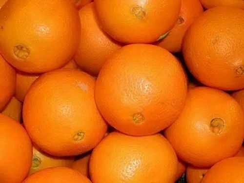 Fresh Oranges Fruits