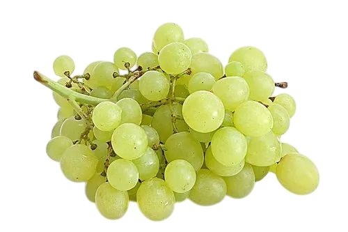 Green Grapes 