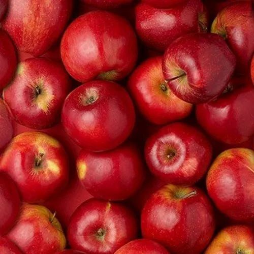 Red Delicious Apple