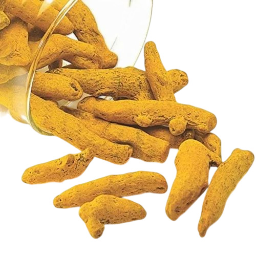 Yellow Turmeric Finger 