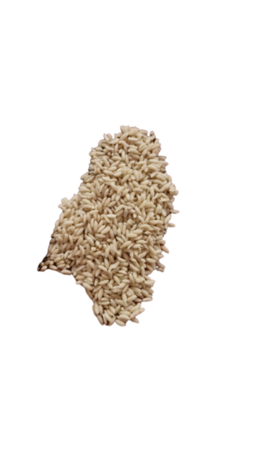 FRK Rice