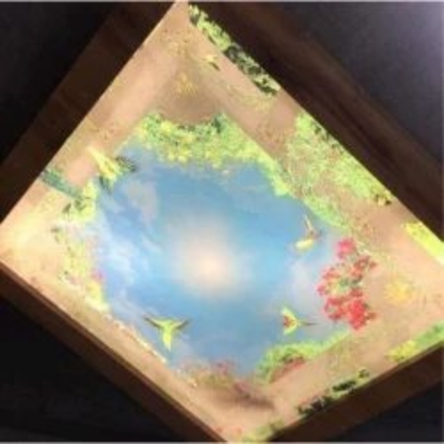 Acrylic Ceiling Printed Services